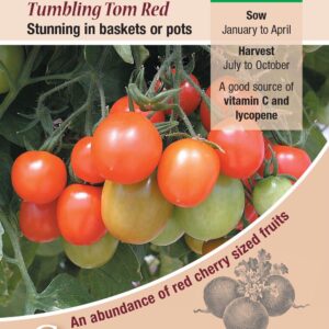 Tomato 'Tumbling Tom Red' Pack Kings Vegetable Seeds