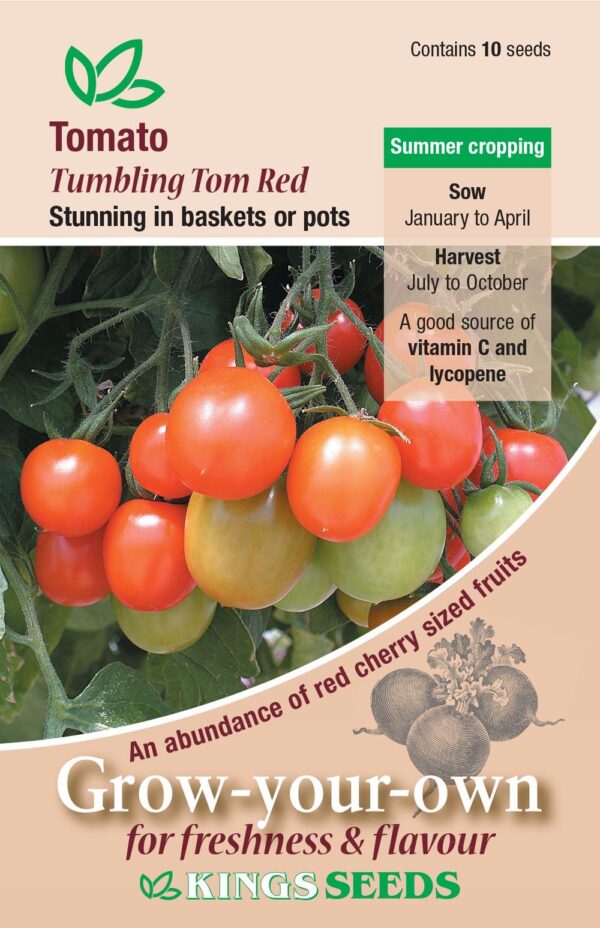 Tomato 'Tumbling Tom Red' Pack Kings Vegetable Seeds