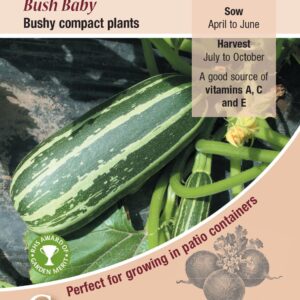 Marrow Seed 'Bush Baby' Kings Quality Seeds AGM