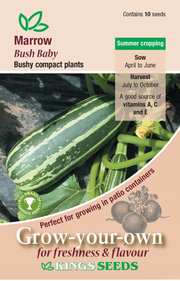 Marrow Seed 'Bush Baby' Kings Quality Seeds AGM