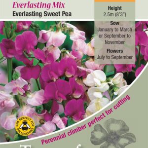 Lathyrus Mixed (Everlasting Sweet Pea) Perennial Pack Kings Seeds