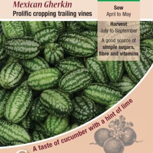 Cucumber Mini 'Cucamelon' Pack Kings Vegetable Garden Seeds