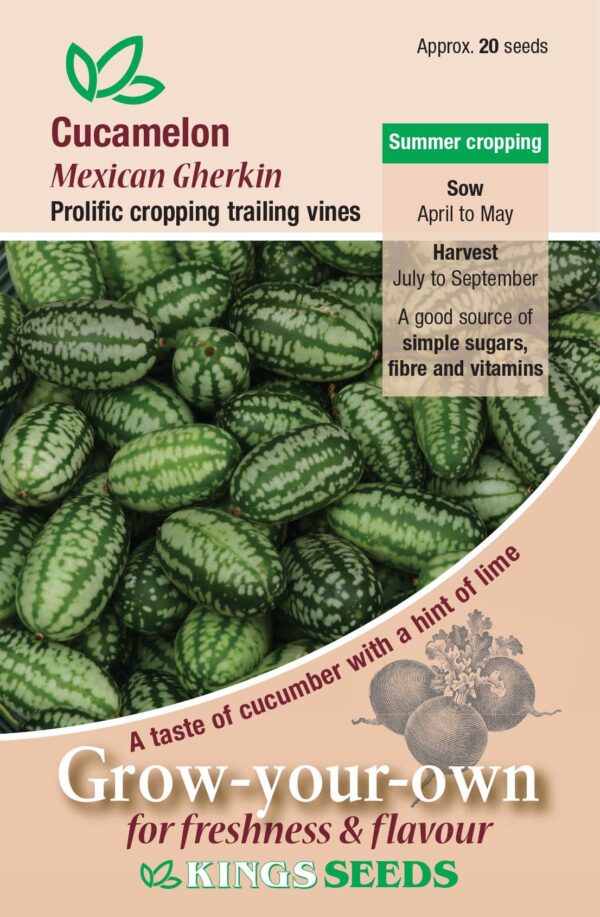 Cucumber Mini 'Cucamelon' Pack Kings Vegetable Garden Seeds