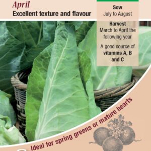 Cabbage 'April' Pack Kings's Vegetable Seed