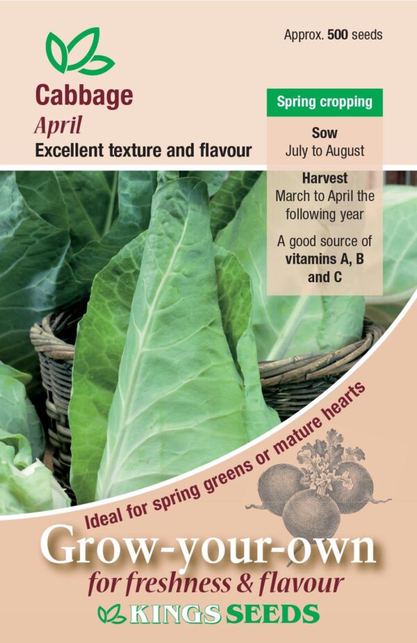 Cabbage 'April' Pack Kings's Vegetable Seed