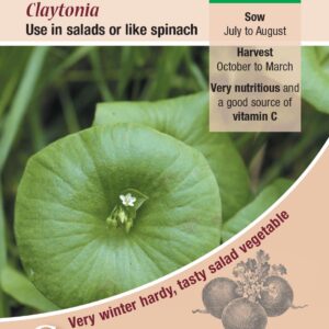 Salad Leaf Claytonia (Miners Lettuce) Pack Kings's Seeds