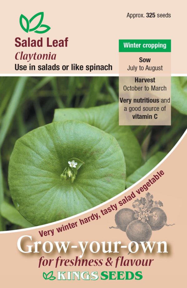 Salad Leaf Claytonia (Miners Lettuce) Pack Kings's Seeds