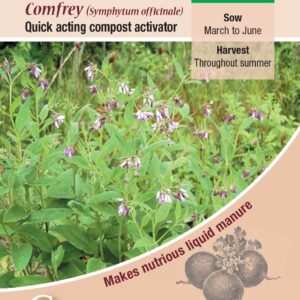 Herb Comfrey (symphytum officinale) Quality Kings Seeds Herbs