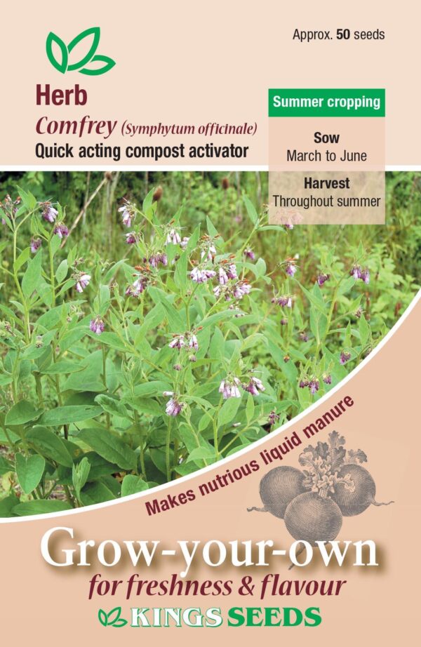 Herb Comfrey (symphytum officinale) Quality Kings Seeds Herbs