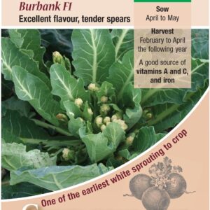 Broccoli Sprouting Burbank F1 Kings Quality Vegetable Pack Seeds
