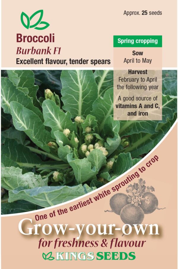 Broccoli Sprouting Burbank F1 Kings Quality Vegetable Pack Seeds