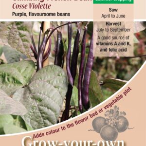 Climbing French Bean Cosse Violette Quality Kings Seeds Vegetable Pack