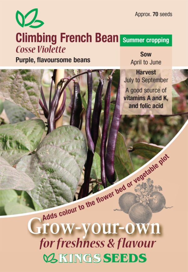 Climbing French Bean Cosse Violette Quality Kings Seeds Vegetable Pack