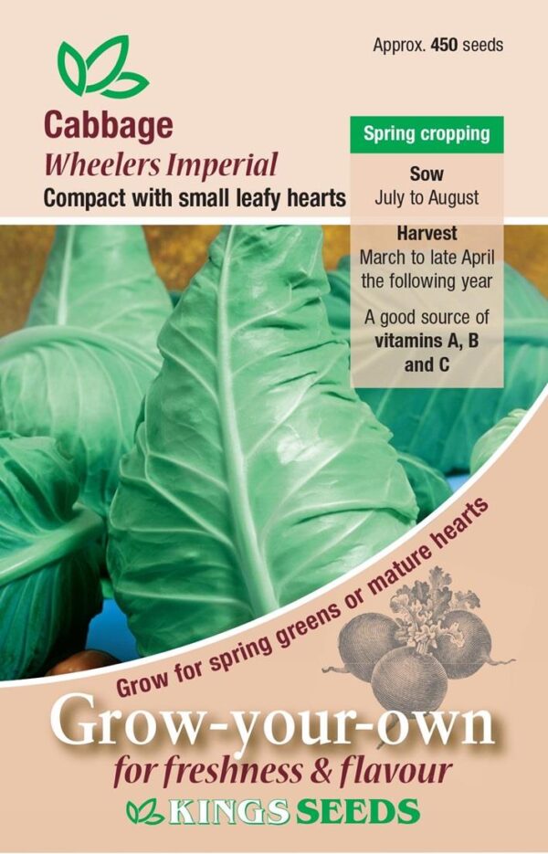 Cabbage 'Wheelers Imperial' Pack Kings Seed