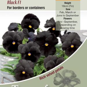 Pansy Atlas Black F1 Flower Seeds