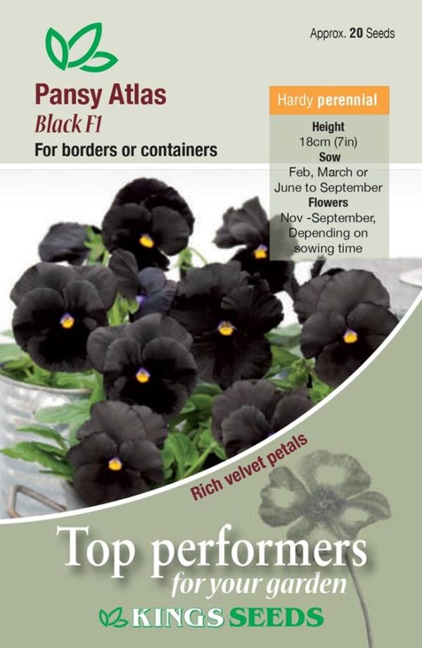 Pansy Atlas Black F1 Flower Seeds