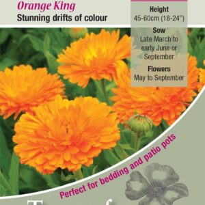 Calendula 'Orange King' King's Quality Flower Seeds