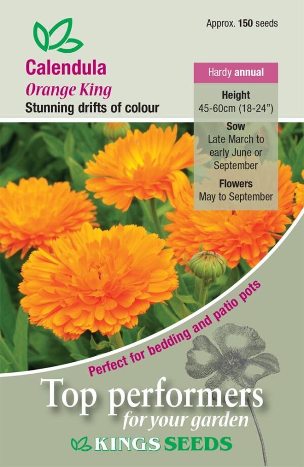 Calendula 'Orange King' King's Quality Flower Seeds