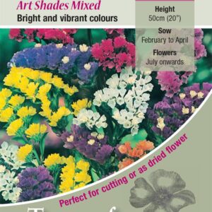 Statice 'Art Shades Mixed' Pack King's Quality Seeds