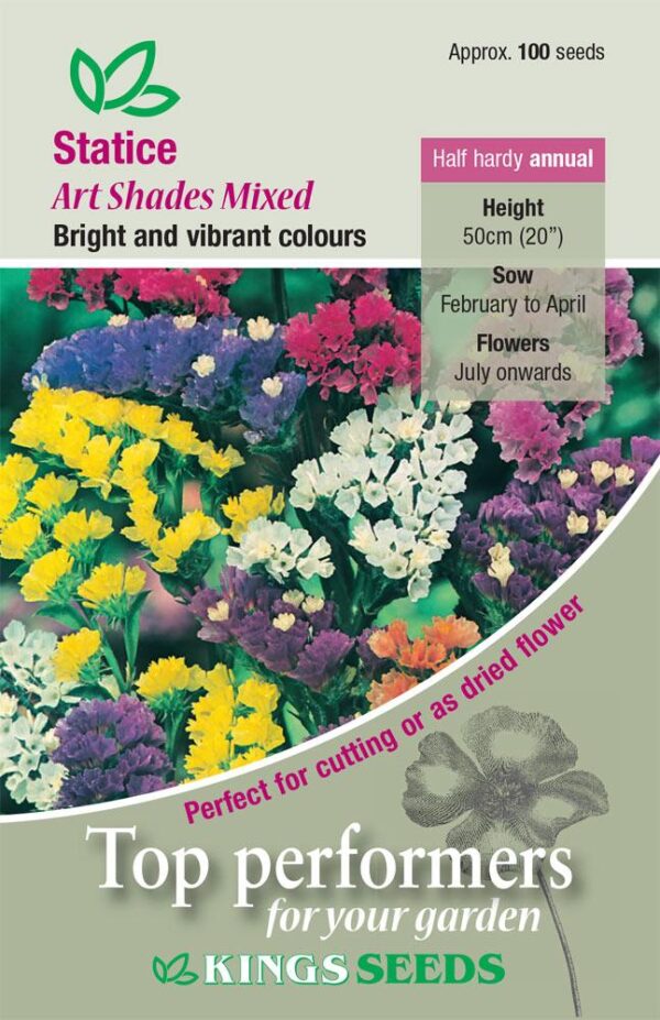 Statice 'Art Shades Mixed' Pack King's Quality Seeds