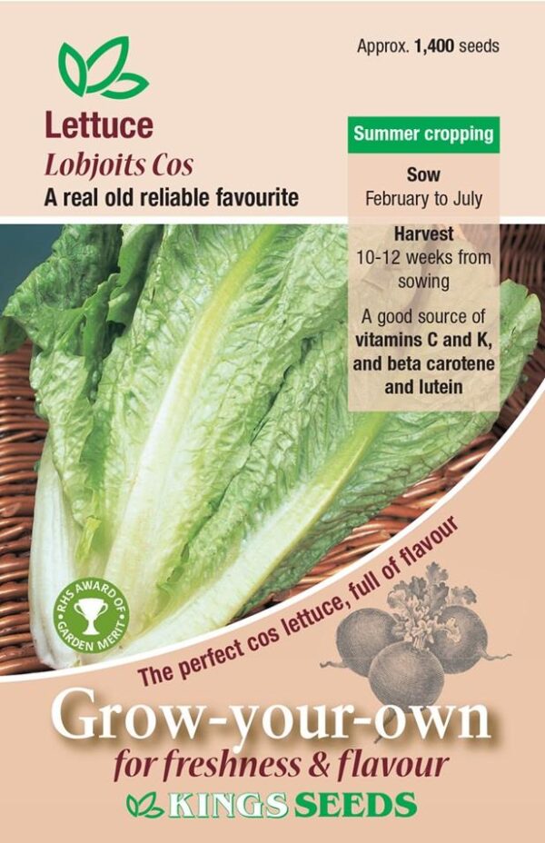 Lettuce 'Lobjoits Green Cos' Pack Kings Seeds