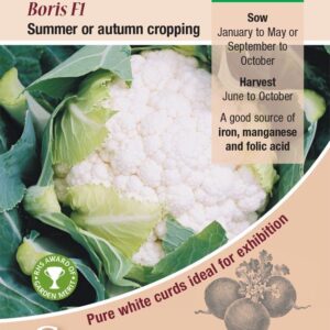 Cauliflower Boris F1 Qulaity Kings Seeds Vegetable Packs