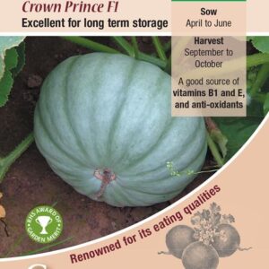 Squash Crown Prince F1 Quality Kings Seeds Vegetable Pack
