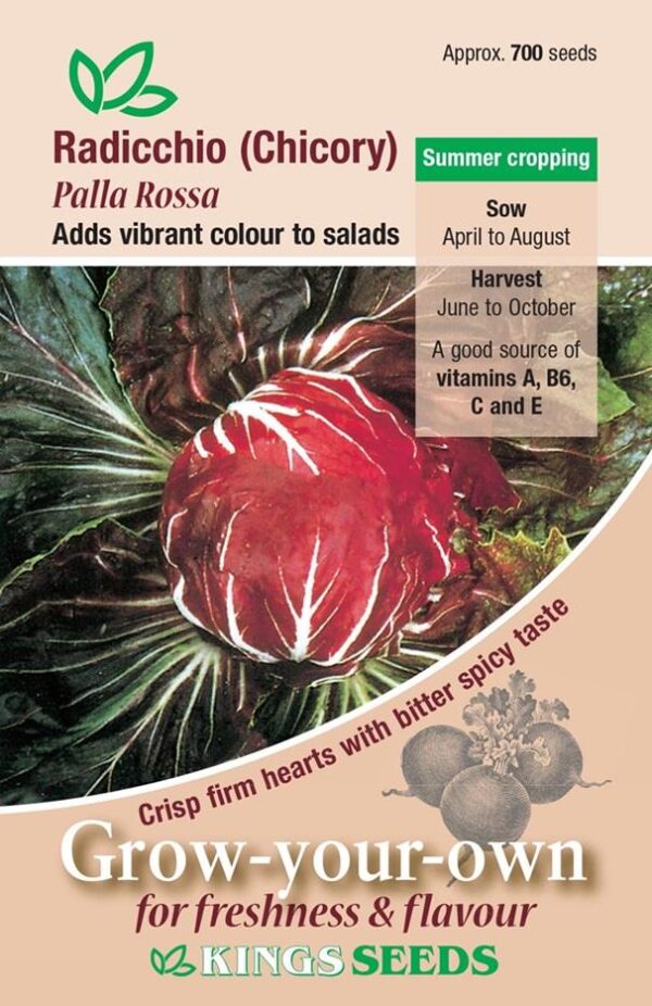 Raddichio Chicory Palla Rossa Quality Kings Seeds Vegetable Pack