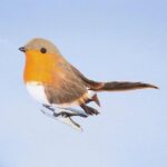 Clip On Robin Christmas Bird Decorations 11cm Pack x6 New Design !