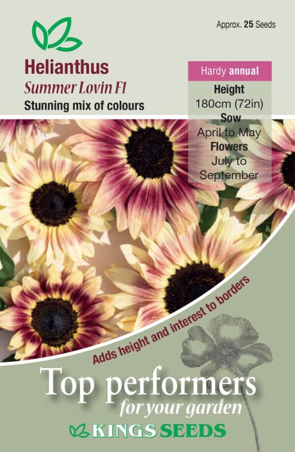 Sunflower Seed Summer Lovin F1 Pack Flower Seeds