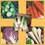 Vegetable Seeds Grow Your Christmas Lunch Pack 5 Varieties