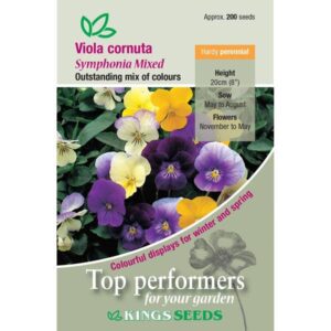 Pack Kings Seed Viola 'Symphonia Mixed' Flower Seeds