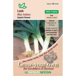 Leek Blue Solaise Pack Kings's Vegetable Seeds