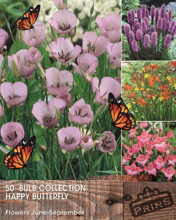 Happy Butterfly Summer Bulb Collection Pack x50 Bulbs