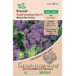 Broccoli Purple Sprouting 'Claret F1' Pack Garden Vegetable Seeds