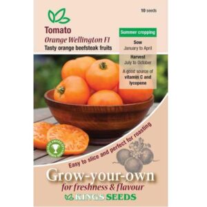 Tomato Orange Wellington F1 Kings Seeds Pack x10