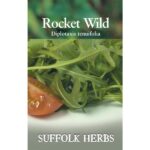 Salad Leaf 'Wild Rocket' Kings Quality Suffolk Herb Seeds