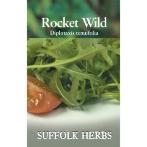 Salad Leaf 'Wild Rocket' Kings Quality Suffolk Herb Seeds