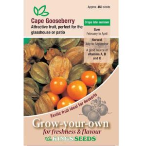 Pack Vegetable Seed Physalis Edulis (Cape Gooseberry) Kings's Seeds