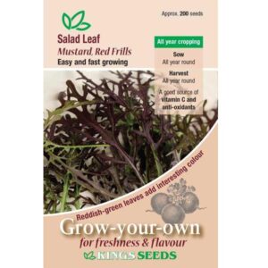 'Mizuna' Kings Quality Pack Salad Leaves Seeds