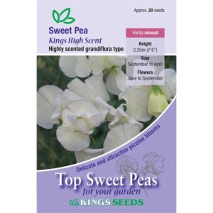 Sweet Pea 'King's High Scent' Kings Quality Pack Flower Seeds