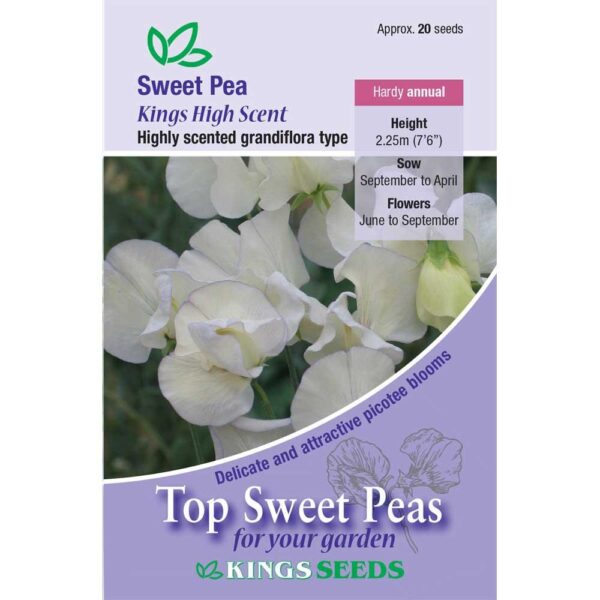 Sweet Pea 'King's High Scent' Kings Quality Pack Flower Seeds