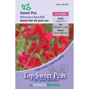 Special Sweet Pea Seed Collection 'Winston Churchill' Kings Seeds