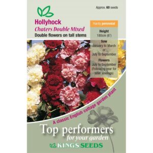 Hollyhock Alcea 'Chaters Double Mixed' Pack Perennial Flower Seeds Kings