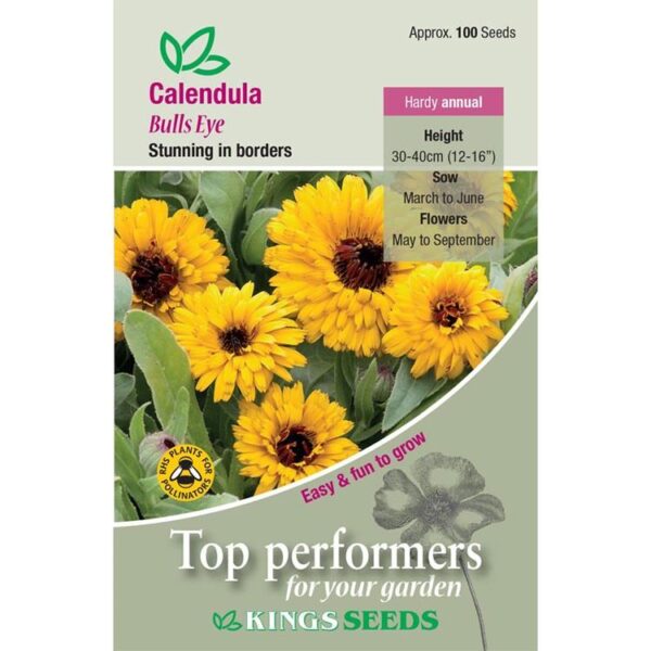 Calendula 'Bulls Eye' Quality Flower Seeds