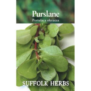 Purslane 'Green' Annual Garden Herb Pack Seeds Suffolk Herbs