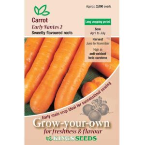 Carrot 'Early Nantes' 2 New Pack Kings Vegetable Seed Garden Seeds