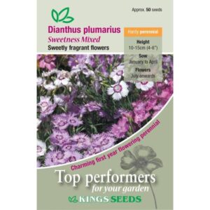 Dianthus 'Sweetness Mixed' Pack Kings Quality Garden Seeds