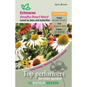 Echinacea Paradiso Dwarf Mixed Quality Kings Seeds