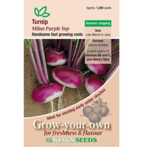 Turnip 'Milan Purple Top' Pack Kings Vegetable Seeds